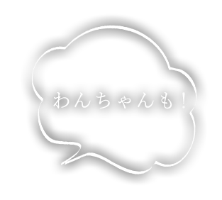 わんちゃんも